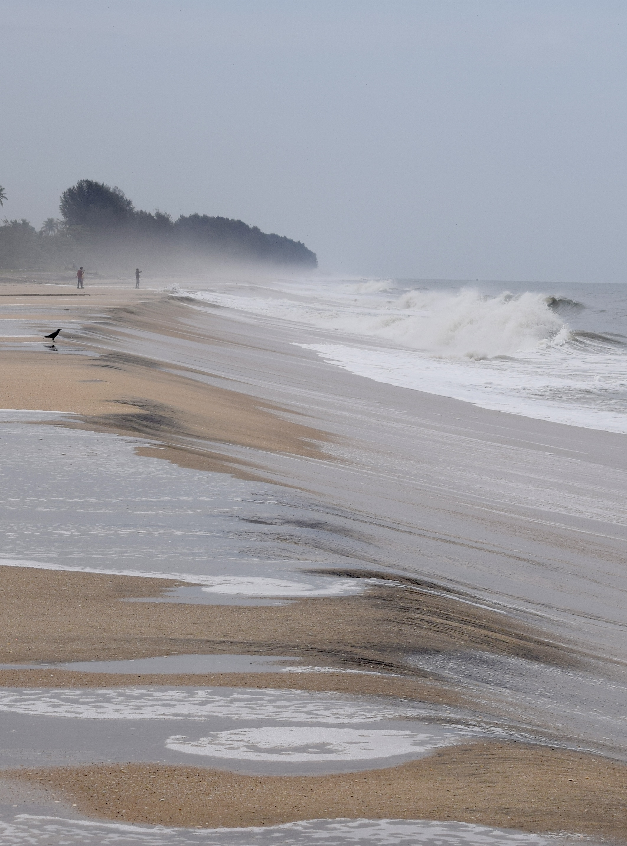 A crow and distant figures along a beach as waves roll through sea mist