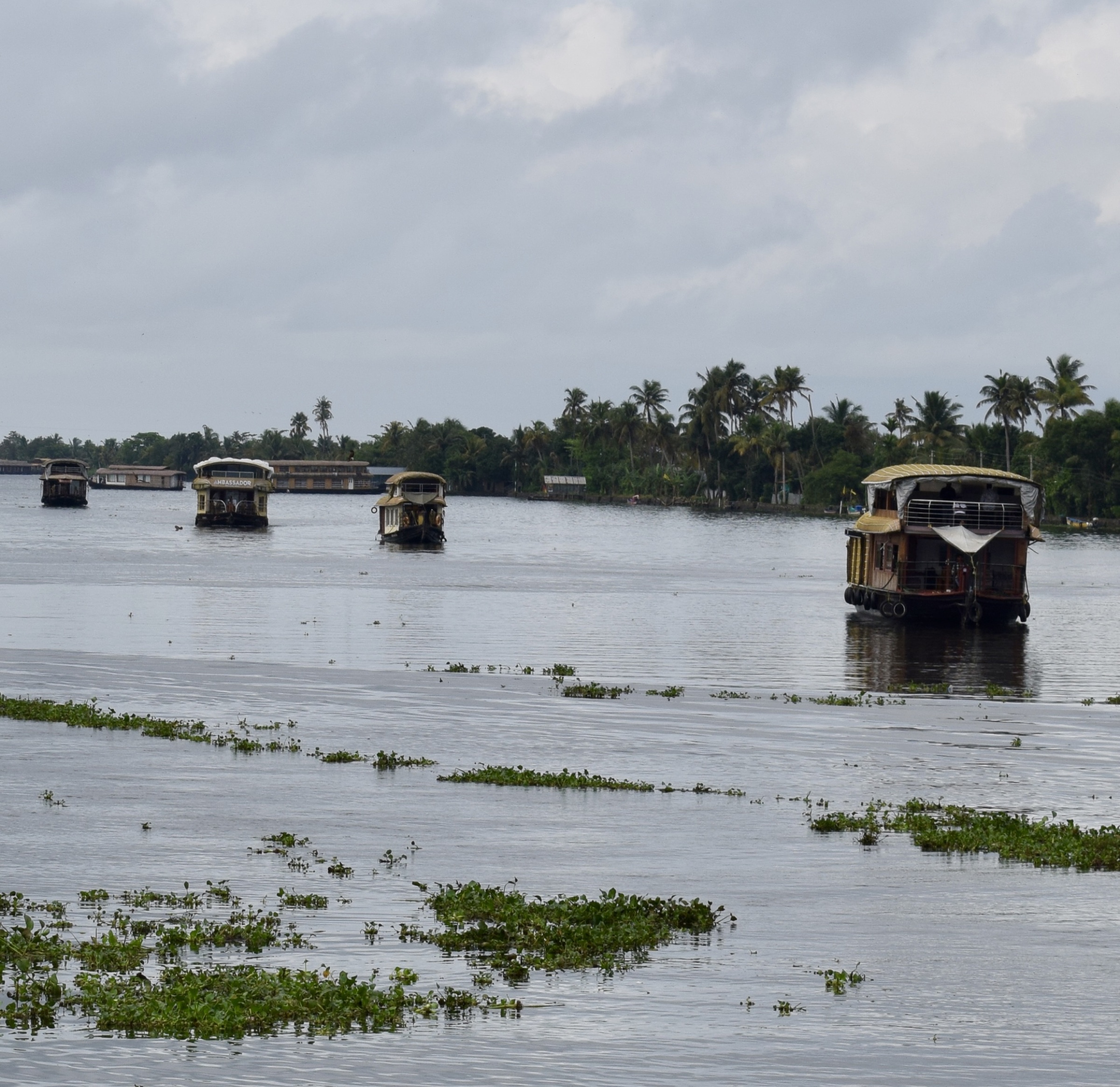 Houseboats moving through Kerala backwaters beneath a cloudy sky